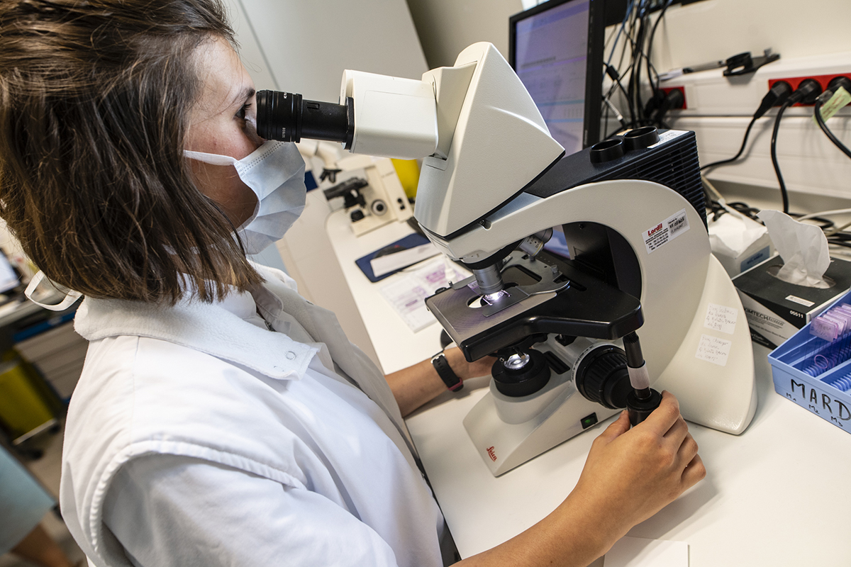 Laboratoire de biologie médicale