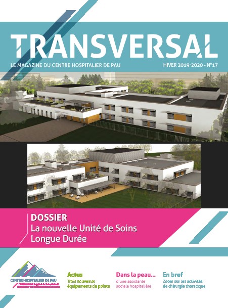 Transversal 17