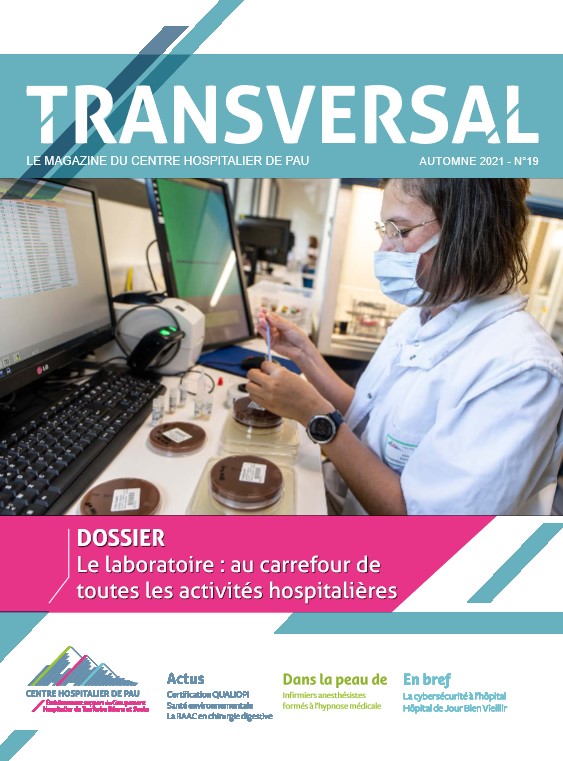 Transversal 19